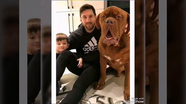 ОГРОМНЫЙ ПЁС MESSI смотреть онлайн