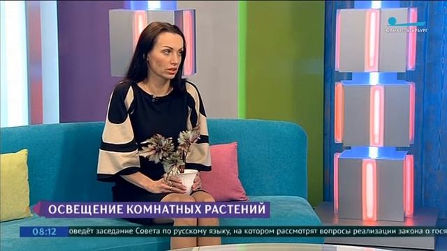 Какие источники света помогут комнатным растениям пережить короткий день в зимний сезон смотреть онлайн
