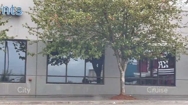 Сиэтл США смотреть онлайн