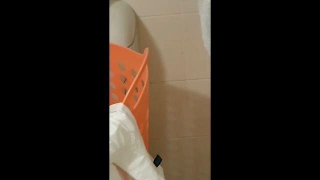 Паук в квартире в Сиднее/Huntsman in the bathroom смотреть онлайн