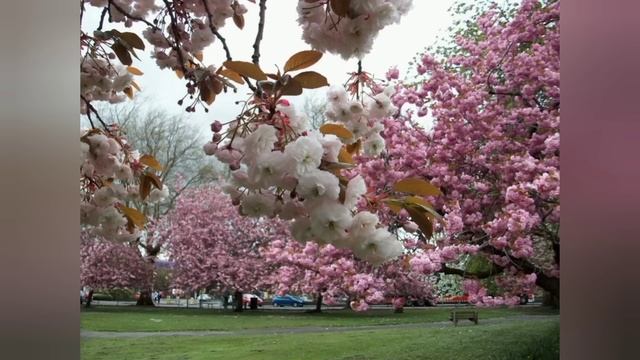 СХИМОНАХИНЯ АНАТОЛИЯ.. БЕСЫ ХИТРЫ, ДЕЙСТВУЮТ ЧЕРЕЗ НАШИ СТРАСТИ И СТРАСТИ БЛИЖНИХ.. смотреть онлайн