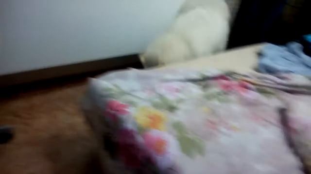 Ищу работу уборщицей