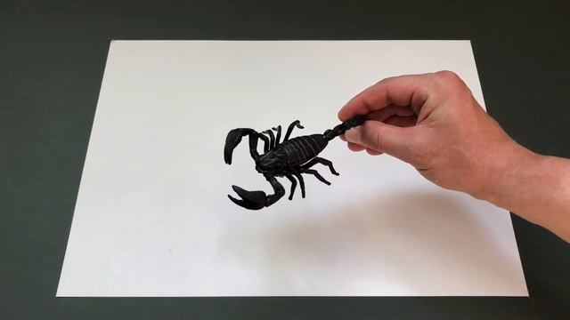 Zuru Robo Alive,Crawling Spider Crawling Cockroach and Crawling Snake. смотреть онлайн