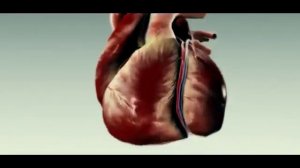 Что будет если бросить курить