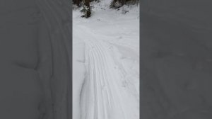 мотобуксировщик м 760 на подъём как???