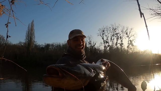 SILURES DU BORD SUR UN POSTE IMPROBABLE ! PECHE AUX ABATS DE VOLAILLES. смотреть онлайн