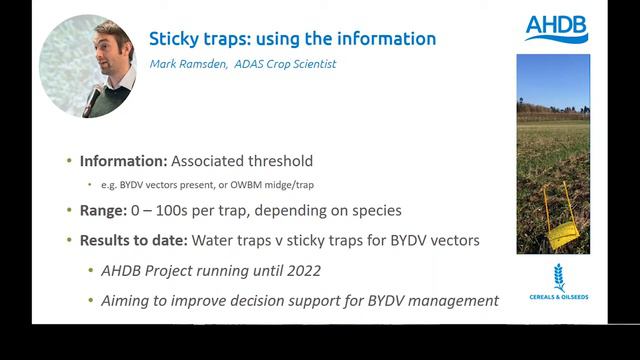 In-field flower strips in arable crops workshop: Advanced смотреть онлайн