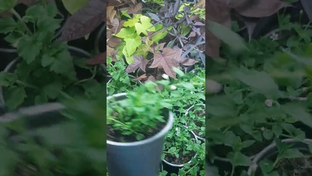 16 марта 2023 г..mp4 смотреть онлайн