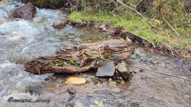 СКАЗОЧНОЕ УЩЕЛЬЕ смотреть онлайн