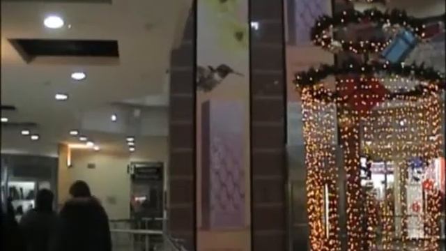 ISPOLCOM UNO смотреть онлайн