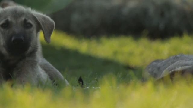 БЕЖЕНЦЫ В ОРЛОВСКОЙ ОБЛАСТИ !!! КАТЯ ВОРОНЦОВА смотреть онлайн