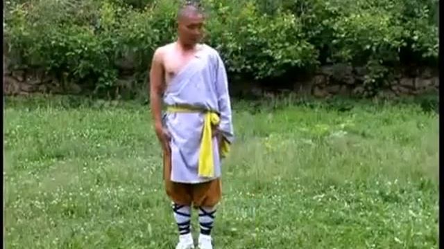 Ши  Ян  Бин  - Занятие  по  основам   шаолиньского   ушу