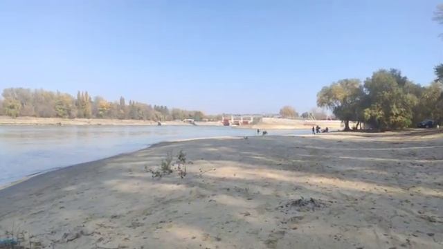 Лес. Калина. Пирожки#8 смотреть онлайн