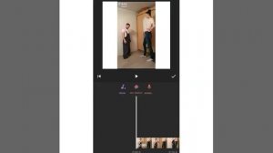 Как убрать звук из видео в программе  INSHOT