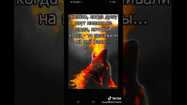 Жизненные Цитаты 🔥👍 смотреть онлайн