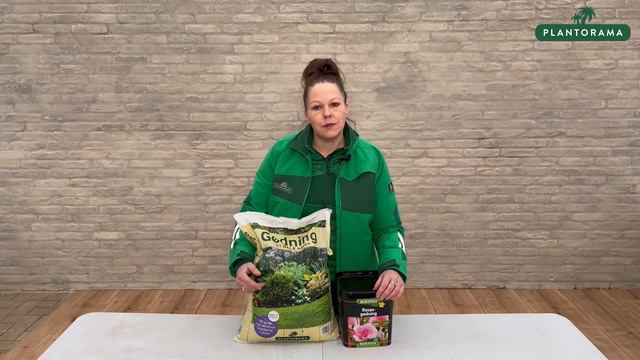 Rosengødning смотреть онлайн