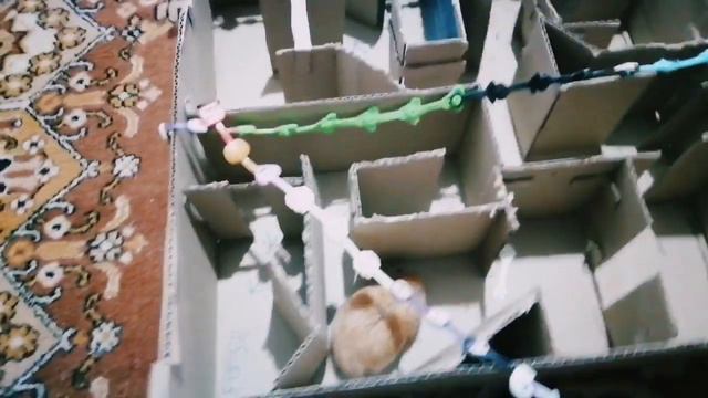 The adventures of Hamster Nut(A small maze)(Скрепыши) Приключения Хомячка Орешка(Маленький лабиринт смотреть онлайн