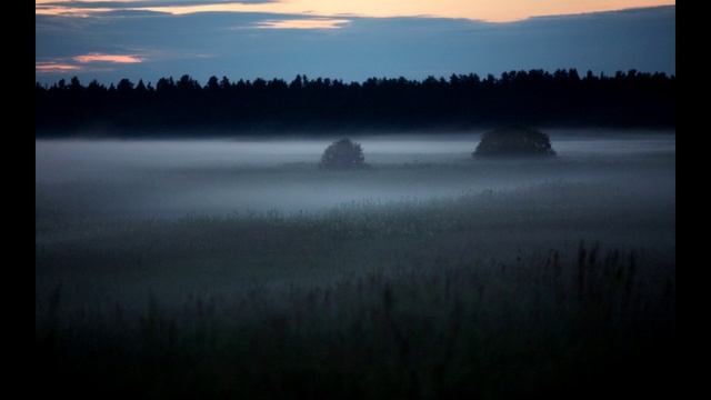 Друг, спасший своего хозяина смотреть онлайн