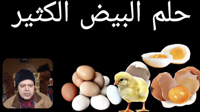 تأول رؤية جمع البيض من تحت الدجاج في الأحلام | ماذا يعني وجودي الدجاج في الحلم | ما هوا تفسير الدجا смотреть онлайн