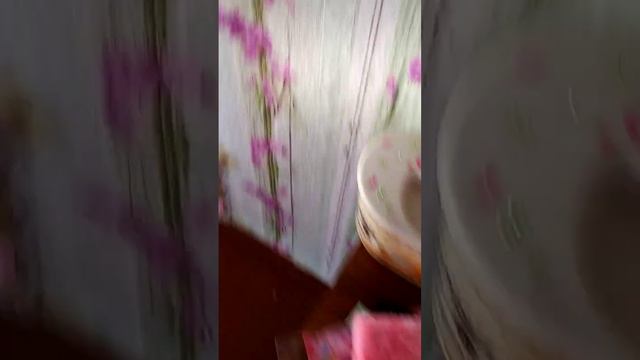 показываю что у меня, в одной из полок смотреть онлайн