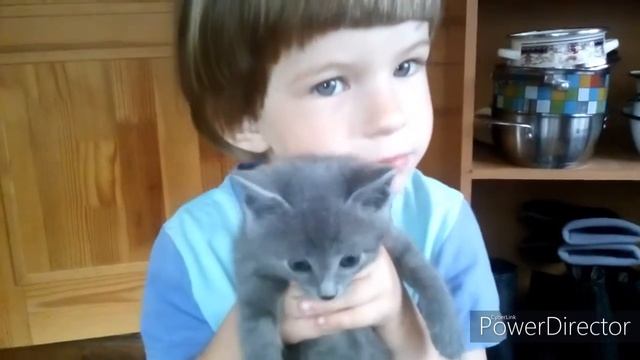 ВСПОМИНАЕМ ЛЕТО...//РЕБЕНОК УЧИТСЯ КОСИТЬ ТРАВУ смотреть онлайн