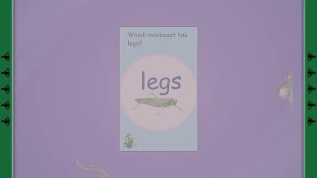 SMART Table Activity - Sorting Minibeasts смотреть онлайн