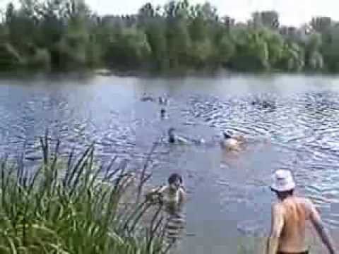 Усадьба Архангельское. Лето 2001 года смотреть онлайн