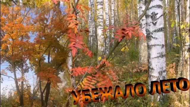 Светлана Корзухина УБЕЖАЛО ЛЕТО смотреть онлайн