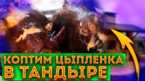 Коптим цыпленка в тандыре!
