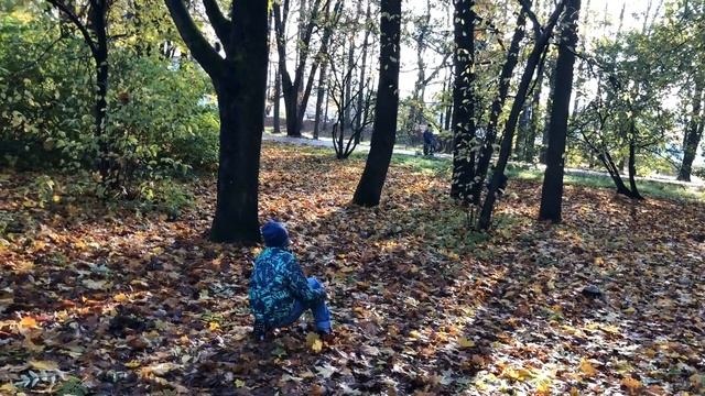 Белки в Санкт-Петербурге. В парке их так много! Считаем и пытаемся их накормить смотреть онлайн