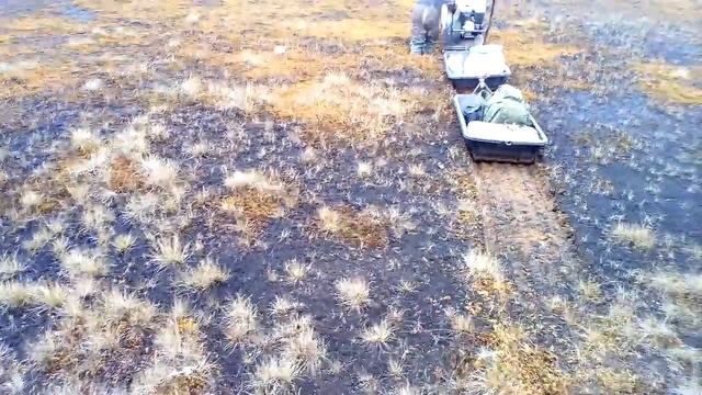 Пахус МД смотреть онлайн