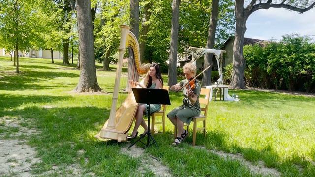 You Are the Reason (Calum Scott) - Simona Voříšková harpist (harp & violin cover) смотреть онлайн