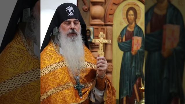 У кого в душе бог сатана ? . схиигумен Гавриил . смотреть онлайн