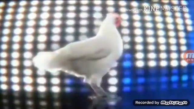 Класная музика куриц:) смотреть онлайн