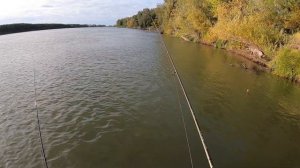 ловля хищника на Иртыше