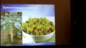 Природное земледелие - Капуста и корнеплоды