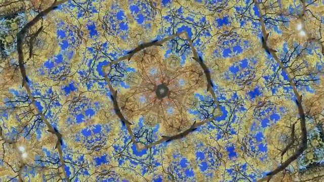 Медитация на восстановление родовых связей и исцеление рода в потоке Рейки смотреть онлайн