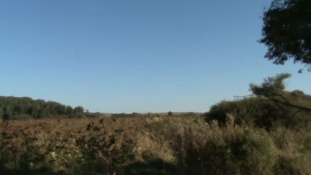 Алтайские отшельники. Охота и рыбалка Сибири смотреть онлайн