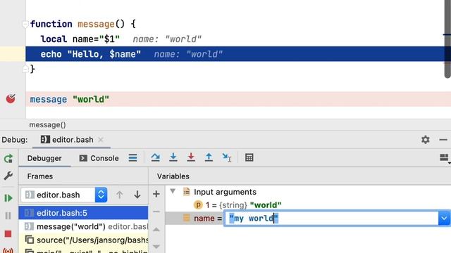 Debugging Bash Scripts with BashSupport Pro and a JetBrains IDE смотреть онлайн
