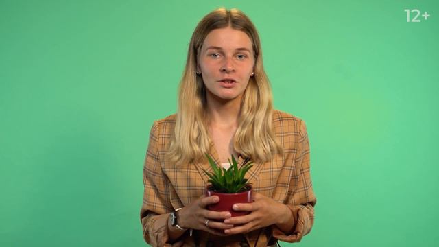 Углублённое изучение физики — в Школе Ассоциации победителей олимпиад смотреть онлайн