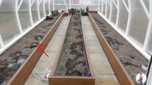 Автополив Смартранчо