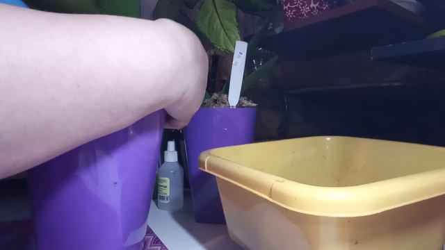 Посадка на фитиль! Положительный опыт!!! смотреть онлайн