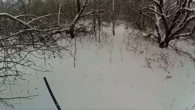 Охота на зайца смотреть онлайн