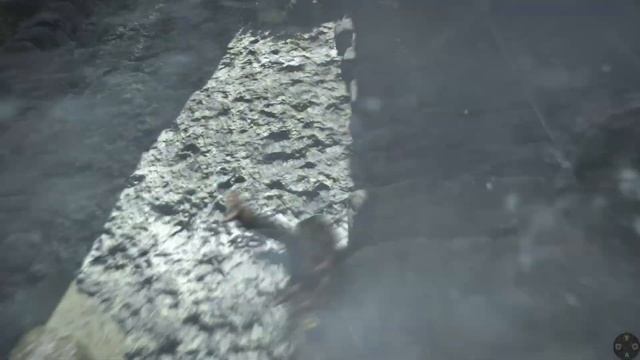 TOMB RAIDER: RISE OF THE TOMB RAIDER [20 YEAR CELEBRATION EDITION] PC FULL GAME (2023) смотреть онлайн