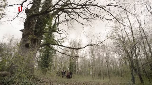 Alparslan: Büyük Selçuklu 53. Bölüm смотреть онлайн