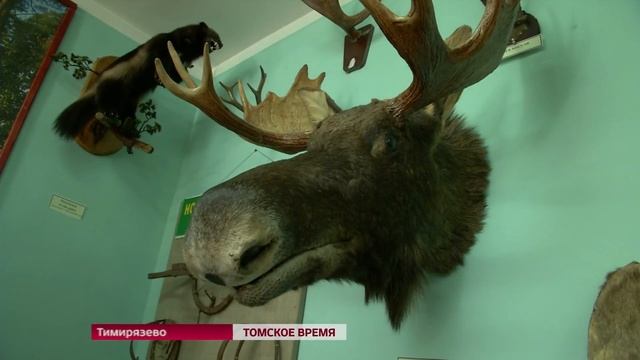 Объемы переработки леса могут удвоиться в Томской области в ближайшие 5 лет