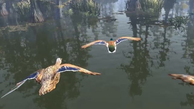 The Duck Dynasty Video Game - BedBananas смотреть онлайн