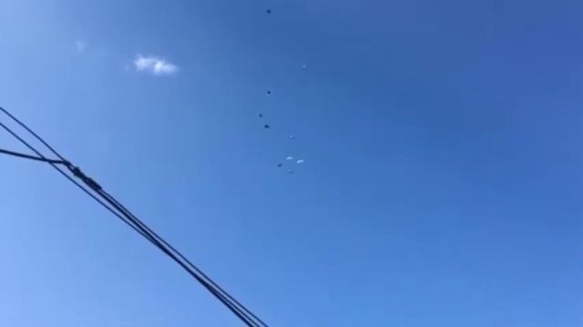 Голуби . Артем наганивает молодеж . смотреть онлайн