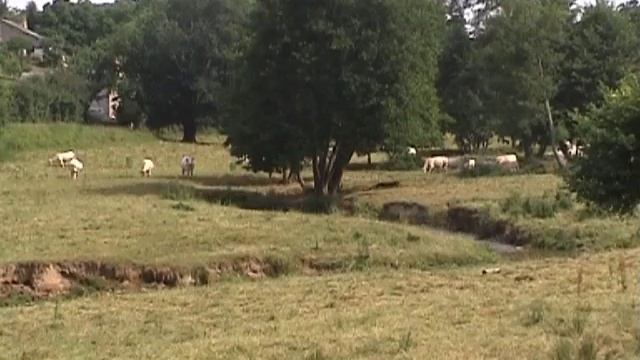 L' Avis de Chateau - Festival 2004 - Chateau Chinon смотреть онлайн