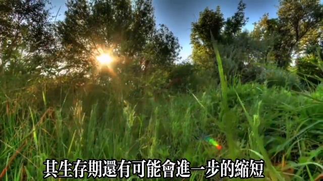 【乐厨怡妈】人到60歲沒有這3種病，基本可以輕松活過90歲，希望你一個也不佔。 смотреть онлайн